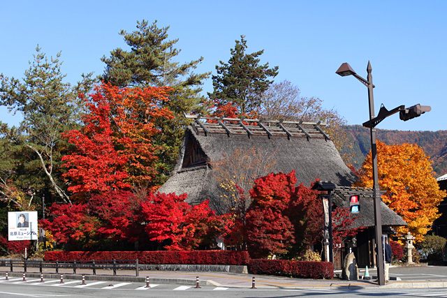 山梨県富士河口湖の紅葉